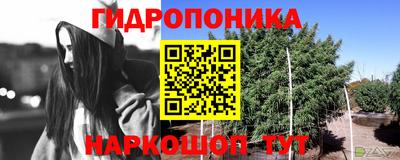 mdma Тверь
