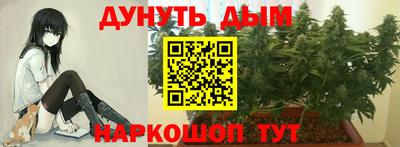 прущие крисы Тулун